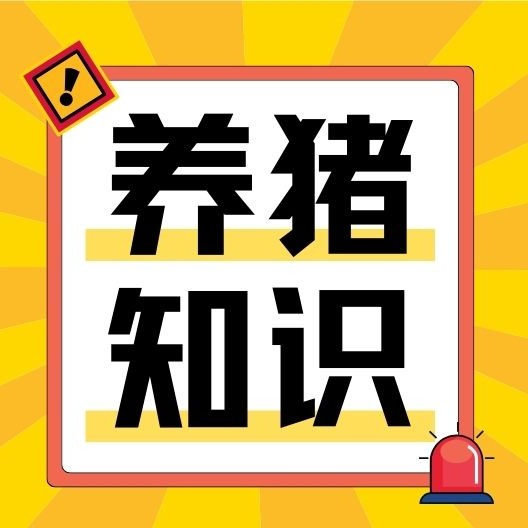 仔猪胃溃疡是导致僵猪的元凶，预防治疗指南来了！