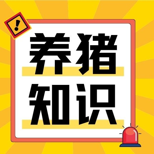 五类母猪易患子宫炎？这份防控攻略请查收！