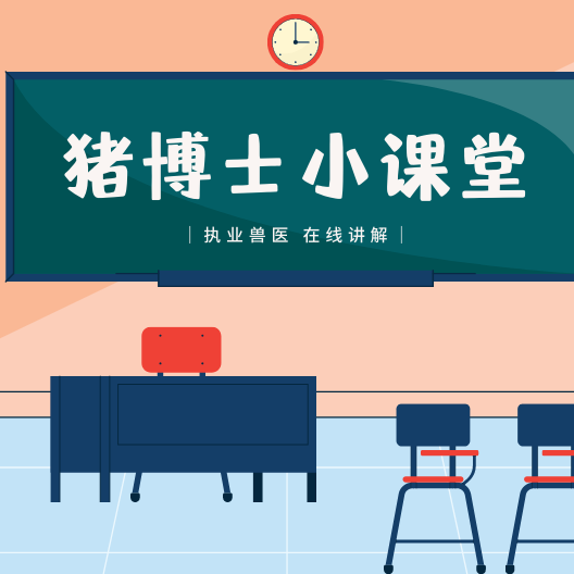 冬季怀孕母猪饲养难？掌握这4招，轻松搞定！