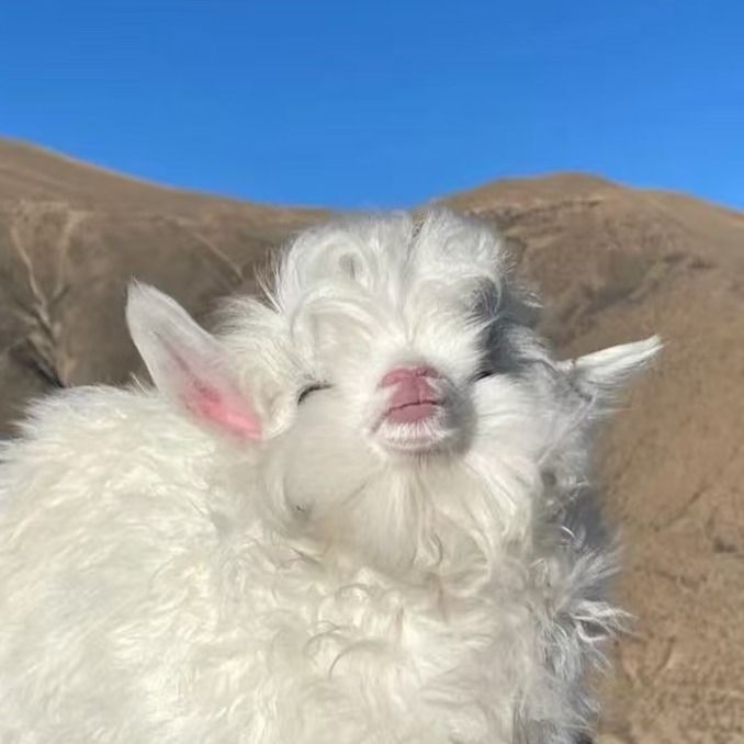 育肥补料过度引起酸中毒怎么办？