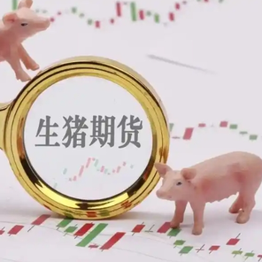 11月19日生猪行情