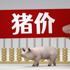 2025年11月19日全国各省市白条猪肉批发均价报价表，季节性猪肉购销提振乏力，猪肉价格上涨乏力？