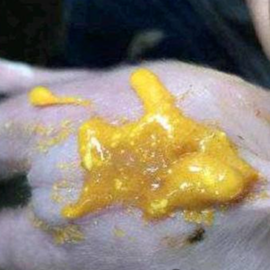 仔猪腹泻死亡率高？这份「病因 - 症状 - 处理」手册，帮你守住成活率！（一）