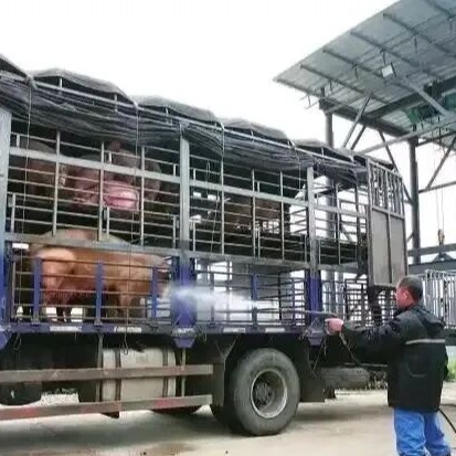 非瘟防控背景下养猪业高压冲洗设备的应用演进与主流品牌简析