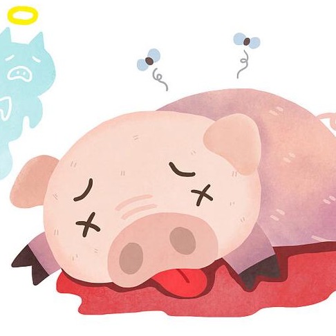 中医“望诊”用在猪身上：养猪人只需学会“看”，这12字真经一看就懂