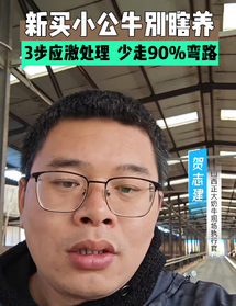 新买小公牛别瞎养，3步应激处理，少走90%弯路