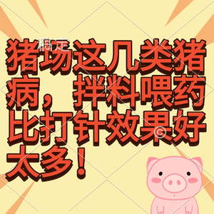 猪场这几类猪病，拌料喂药比打针效果好太多！