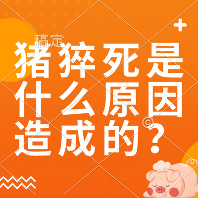 猪猝死是什么原因造成的？