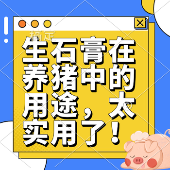 生石膏在养猪中的用途，太实用了！