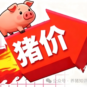 今日猪价与原料行情（2025.11.21）