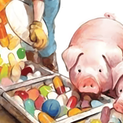 中西兽医如何优势互补？构建“正气存内”的健康养殖新范式