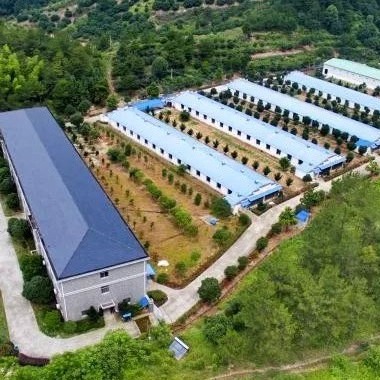 猪场建设最容易犯的错误