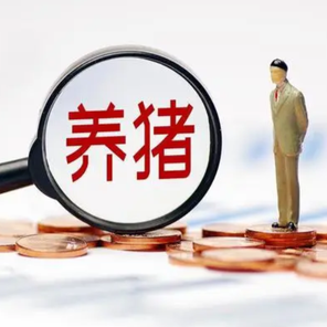 赶猪方法选的对，事半功倍！