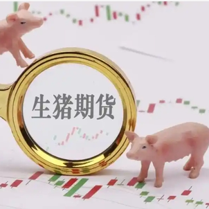 11月24日生猪主连期货