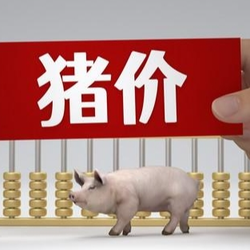 11月25日猪价｜大场出栏增加，猪价短期难涨？