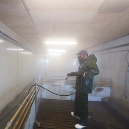 后备猪隔离与驯化、入群前健康管理标准