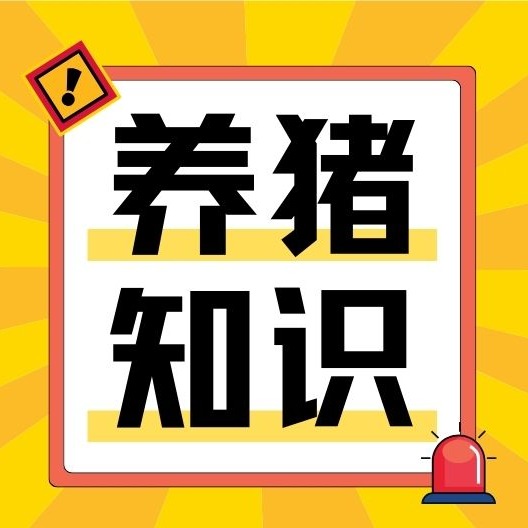 你知道猪场饮水器如何选择和安装吗？