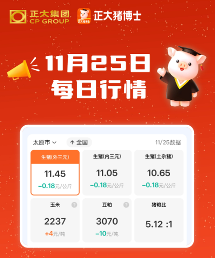 11月25日 小幅下跌，市场延续底部震荡格局!