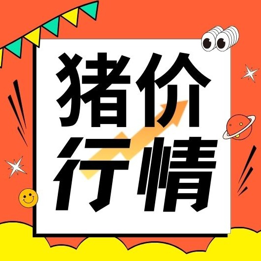 市场看涨情绪落空，猪价延续磨底的走势！