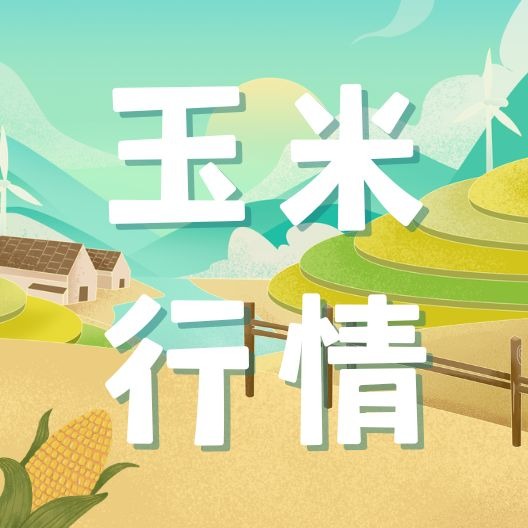 10 - 11 月玉米市场风云变幻，后续走势如何？