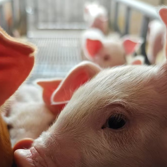 秋季通风的几个小问题