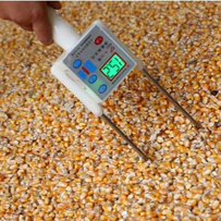 玉米期货连续大涨3天，但现货却没动静！