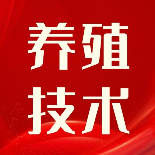 生猪患上关节炎咋办？这些预防治疗法帮你破局！
