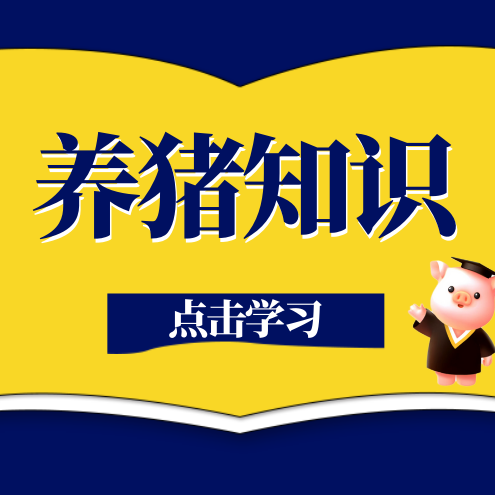 猪脓肿≠肿瘤，该怎么处理?