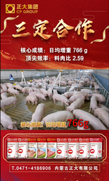 生猪合作养殖喜报