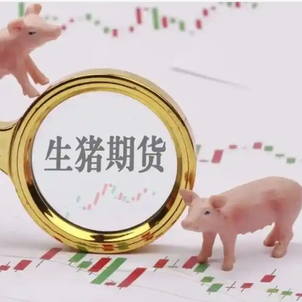 生猪期货-生猪2601