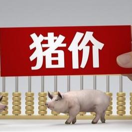 12月24日猪价｜少量二育进场，猪价小幅反弹！