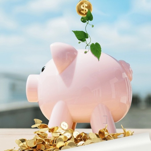 二次育肥引发关注 元旦将至，行情如何变化？