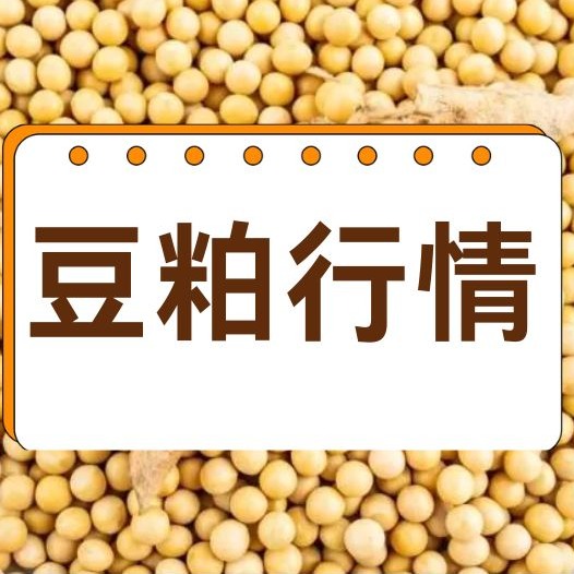 优质粮缺、低质粮多，华北玉米行情分化