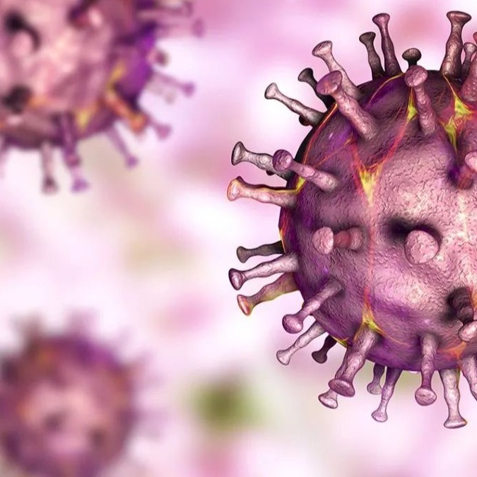 一周国际动物疫情动态（12月12-19日）：罗马尼亚发生非瘟疫情扑杀3.3万头家猪