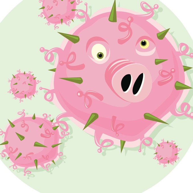 猪场如何防控蓝耳病