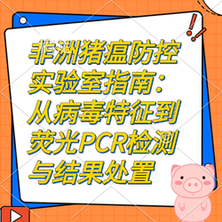 非洲猪瘟防控实验室指南：从病毒特征到荧光PCR检测与结果处置