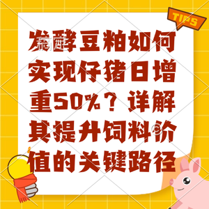 发酵豆粕如何实现仔猪日增重50%？详解其提升饲料价值的关键路径