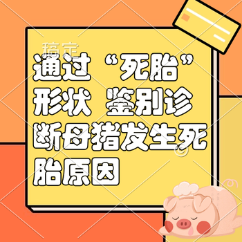 通过&ldquo;死胎&rdquo;形状 鉴别诊断母猪发生死胎原因