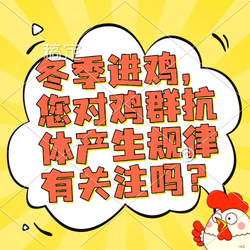 冬季进鸡，您对鸡群抗体产生规律有关注吗？