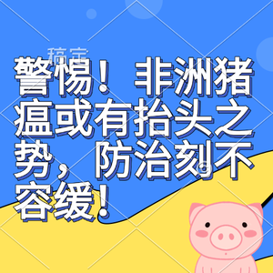 警惕！非洲猪瘟或有抬头之势，防治刻不容缓！