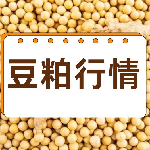 成交率仅1/3！中储粮大豆拍卖成交率骤降，未来十年我国大豆进口依赖度大降60%？