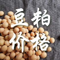 芝加哥大豆跌至两月新低，反弹为何成奢望？