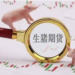 生猪2603期货12月25日