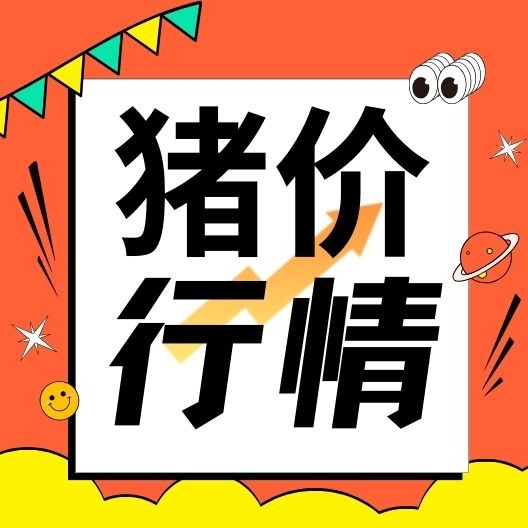 元旦备货托底猪价，南北生猪行情拉锯战持续！