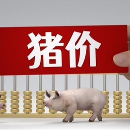 12月26日猪价｜西北、西南上涨，其他地区稳定！