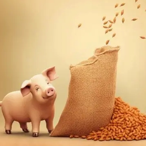 警惕猪弓形虫病，做好消毒与灭鼠