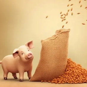 解码猪皮肤紫癜的病理与病因