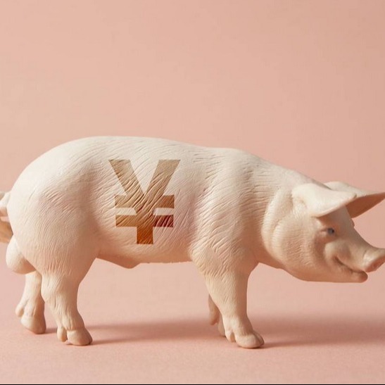 月末猪价波动上涨！2026 年猪市拐点将至？