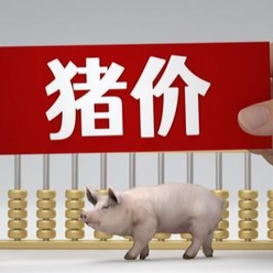 12月30日猪价｜均价涨至6元，有卖猪计划的逢高出栏！