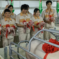 2025年11月全国生猪定点屠宰企业屠宰量情况：前11月屠宰量已经超过前4年全年